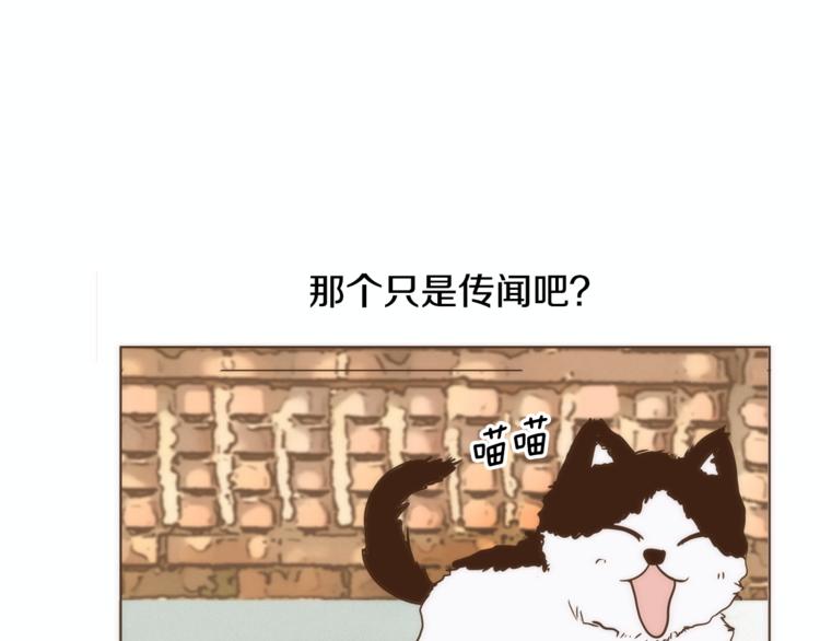 无法避开小说漫画,第4话 对平凡的渴望2图