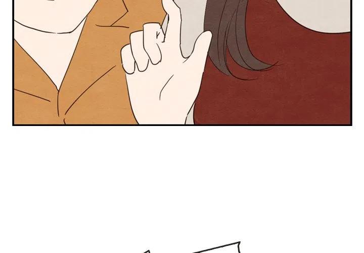 泰珠小姐的完美婚姻生活漫画,271图