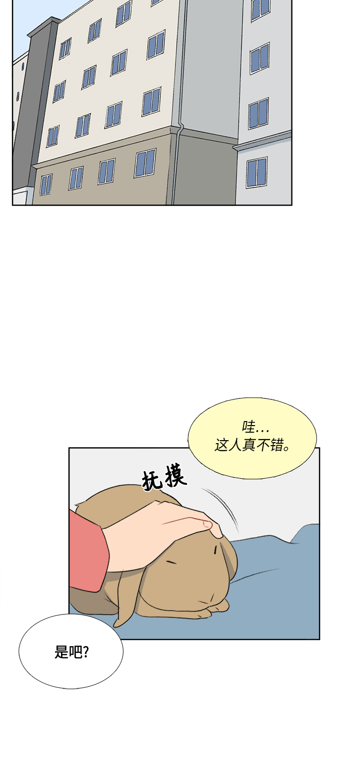 镜头的光圈系数用什么标志漫画,第47话2图