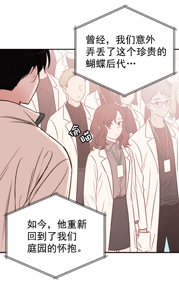 蝴蝶4号漫画免费阅读漫画,[第6话] 站在悬崖边的心情2图