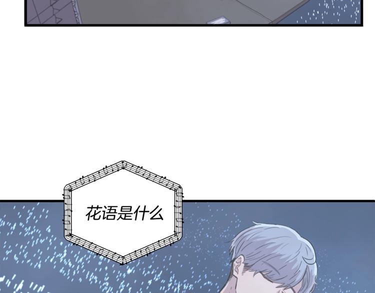 主笔规律漫画,第1话 闪闪发光的大明星2图