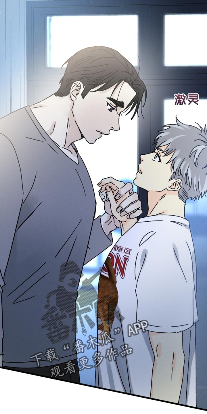 守护梦星漫画,第65话2图