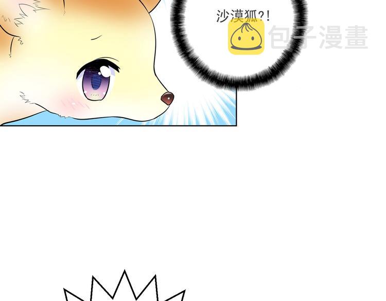 萌兽人漫画,第3话 超可爱的狐狸非要黏着我1图