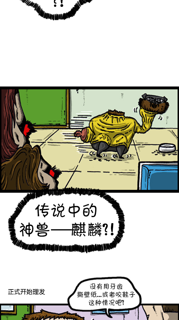 心灵的声音朝鲜士兵漫画,[第216话] 狗狗美容1图