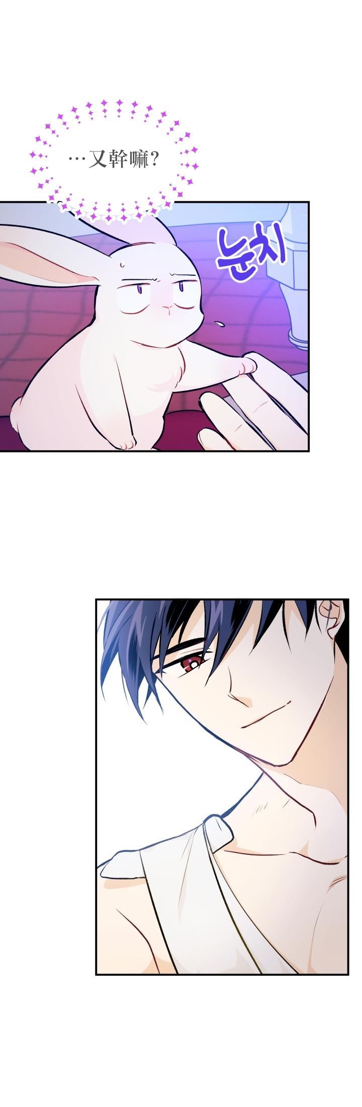 兔子与黑豹的共生关系漫画,第04话1图