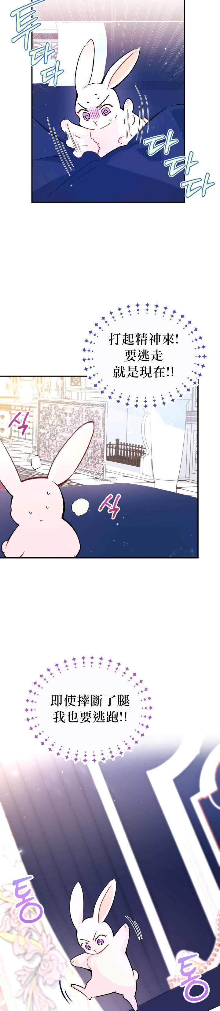 兔子与黑豹的共生关系漫画,第02话1图