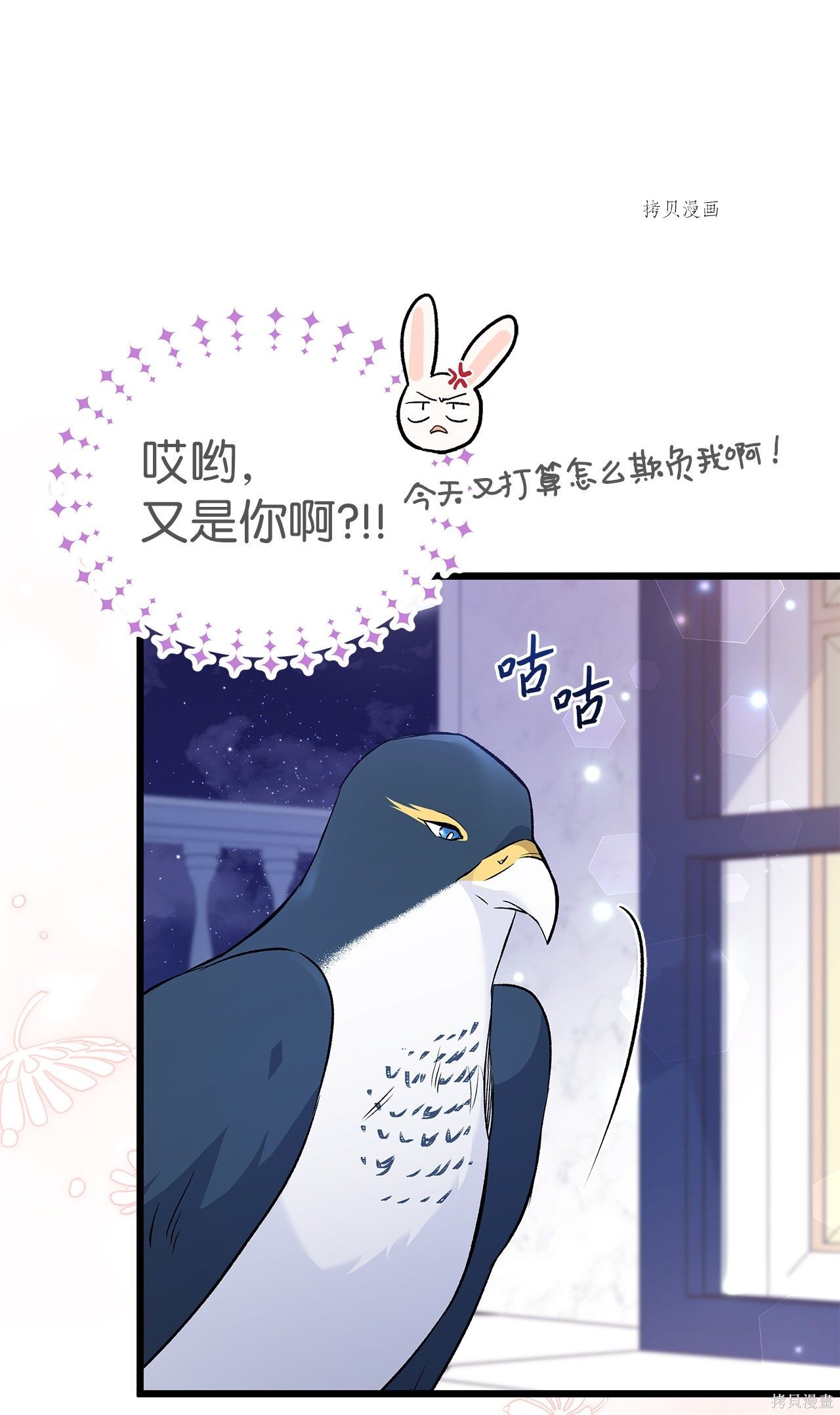 兔子与黑豹的共生关系漫画,第57话1图