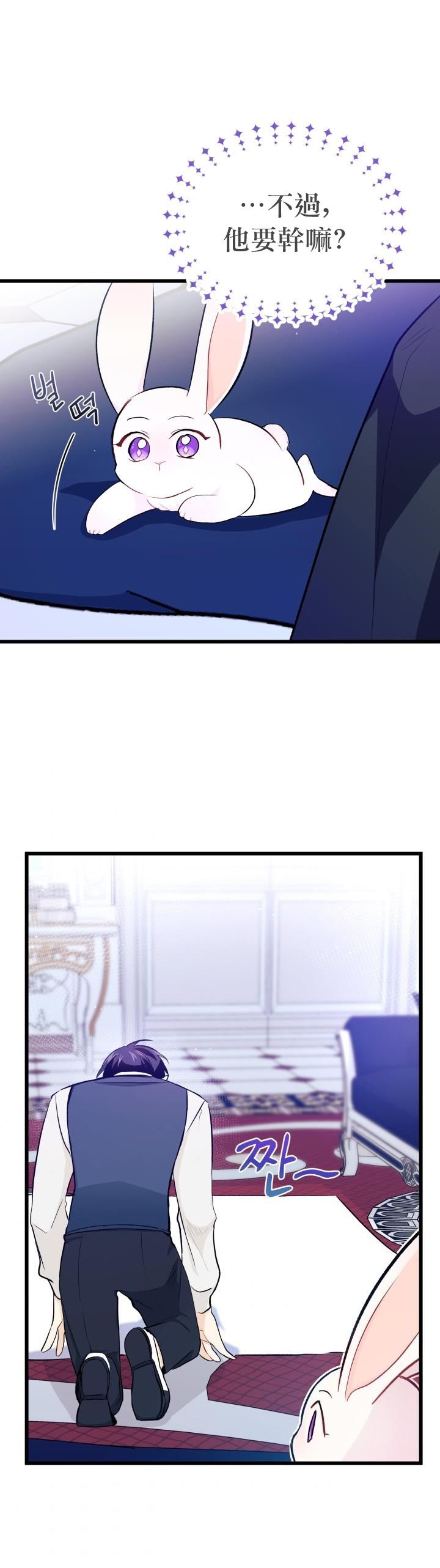 兔子与黑豹的共生关系漫画,第10话1图