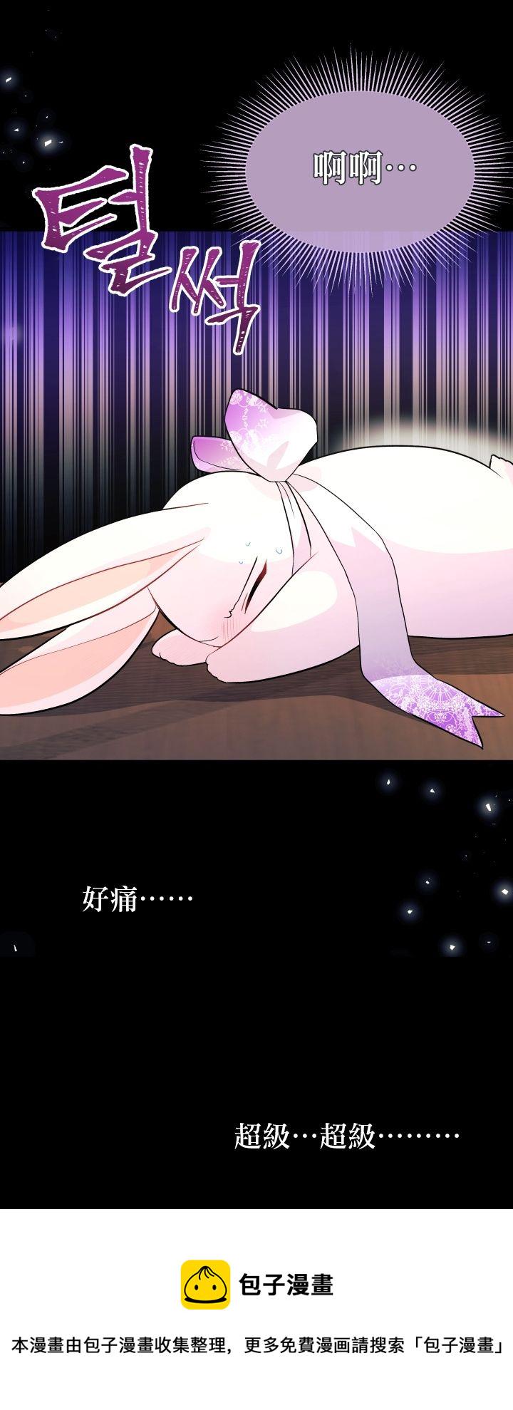 兔子与黑豹的共生关系漫画,第19话1图