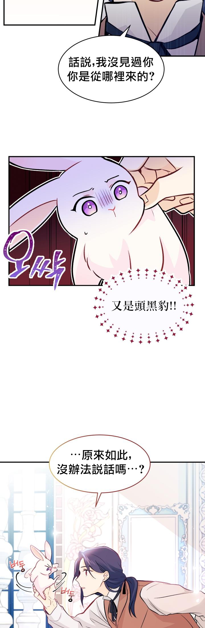 兔子与黑豹的共生关系漫画,第02话2图