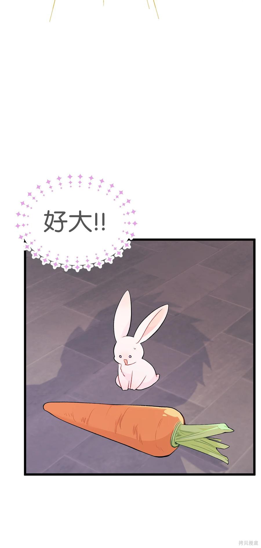 兔子与黑豹的共生关系漫画,第35话2图