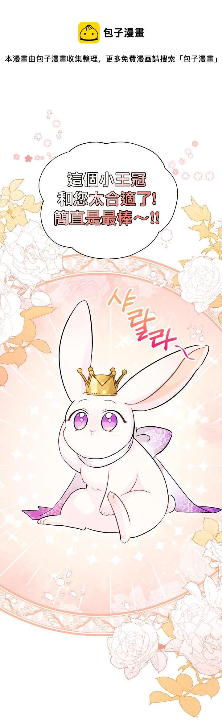 兔子与黑豹的共生关系漫画,第17话1图