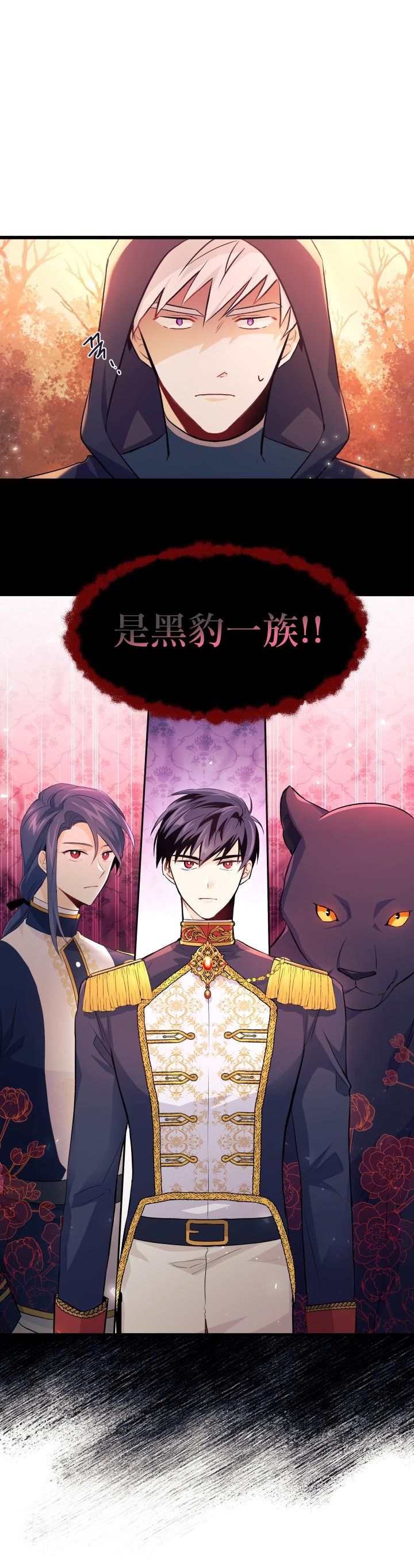 兔子与黑豹的共生关系漫画,第12话2图
