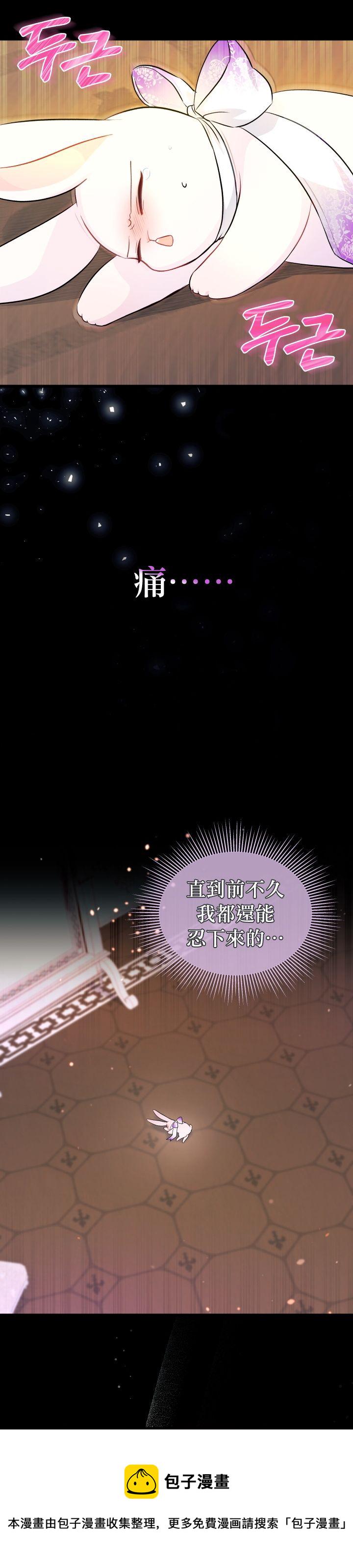 兔子与黑豹的共生关系漫画,第19话2图