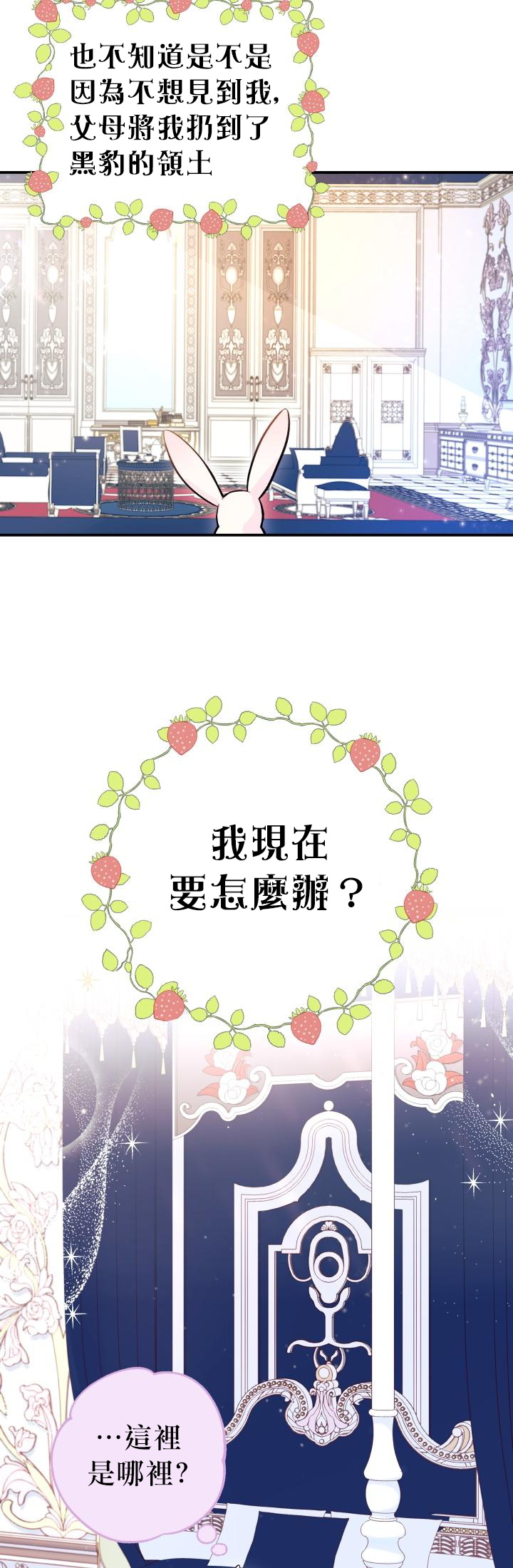 兔子与黑豹的共生关系漫画,第02话1图