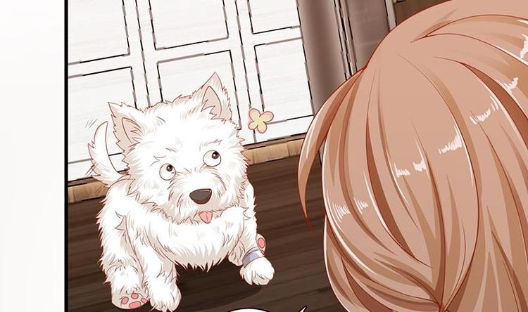 末世恋爱法则漫画,第4话 秘境仙府1图