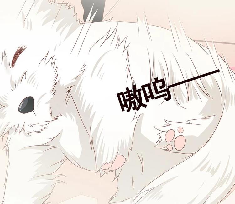 末世恋爱法则漫画,第10话 临裆一脚2图