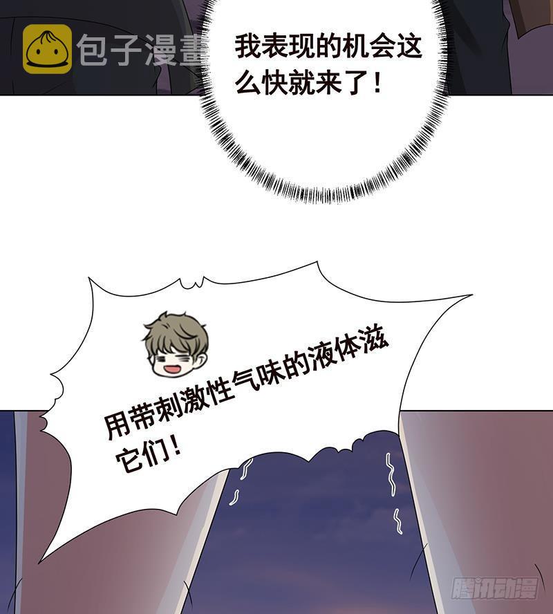 末世恋爱法则漫画,第253话 你是猪吗2图