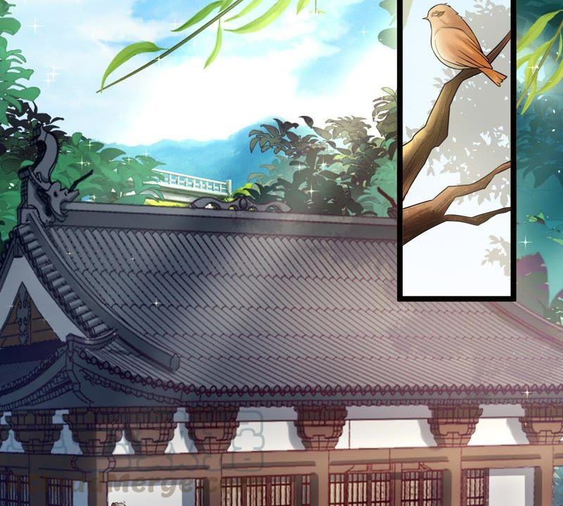 战神狂妃：凤倾天下漫画,第61话 存心试探1图