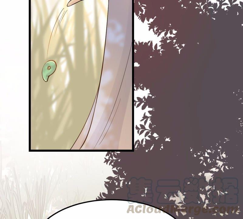 战神狂妃：凤倾天下漫画,第54话 被灭口的证人1图
