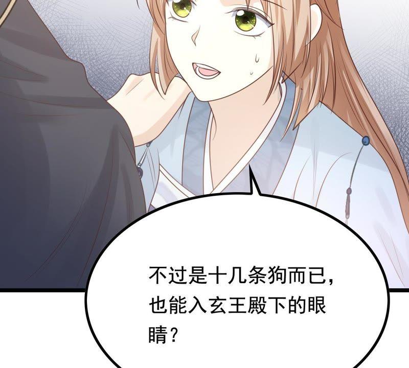 战神狂妃：凤倾天下漫画,第67话 小狐狸和大灰狼1图