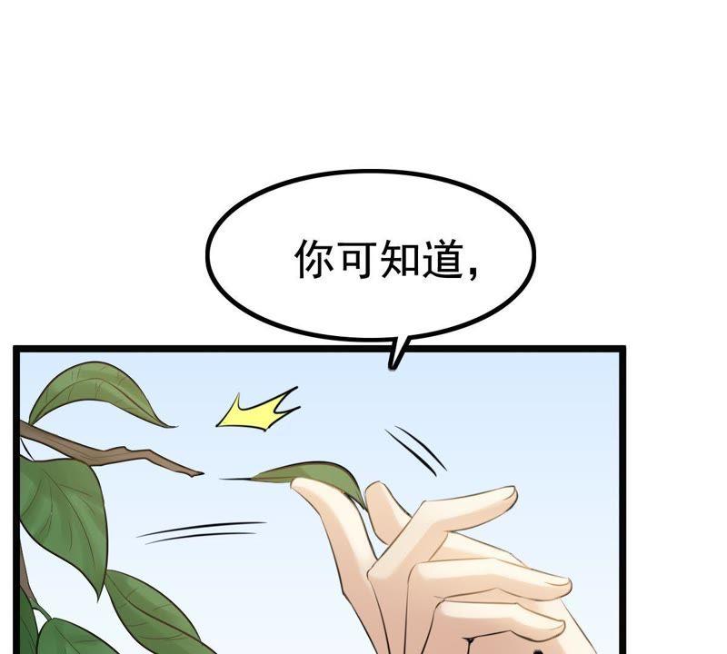 战神狂妃：凤倾天下漫画,第64话 朱雀令1图