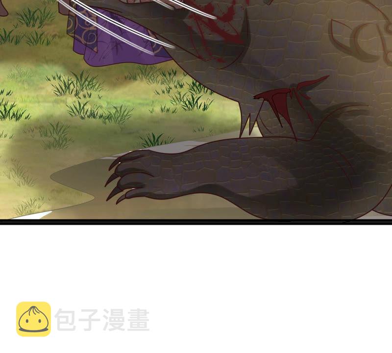 战神狂妃：凤倾天下漫画,第116话 一网打尽2图