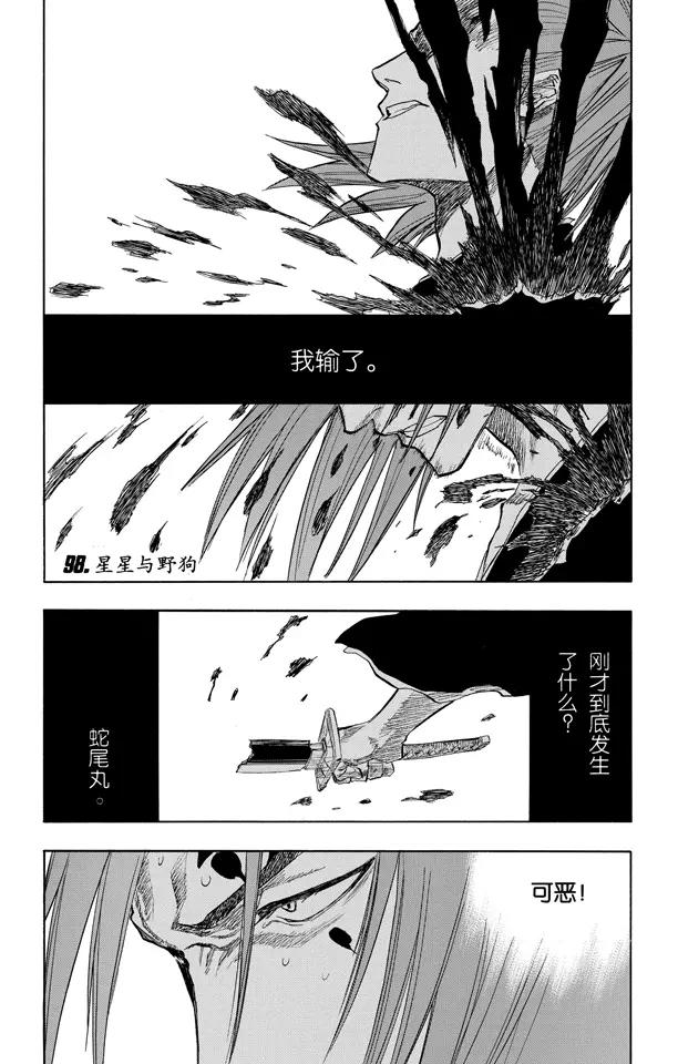 死神境·界漫画下拉式漫画,第98话 星星与野狗1图