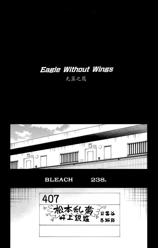 死神/境·界漫画,第238话 无翼之鹰2图