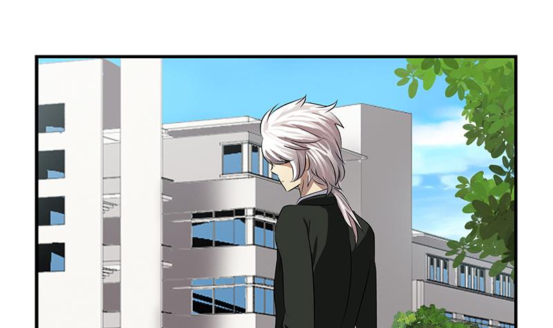 都市极品仙医漫画全集免费下拉式漫画,第387话 结盟2图