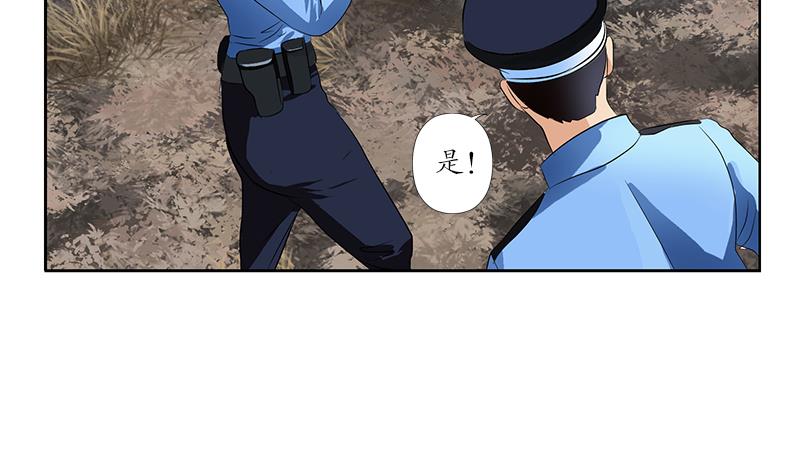 都市极品仙医合集漫画,第228话 老窝1图