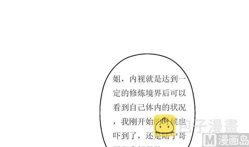 都市极品仙医漫画全集免费下拉式漫画,第360话 回凤城1图