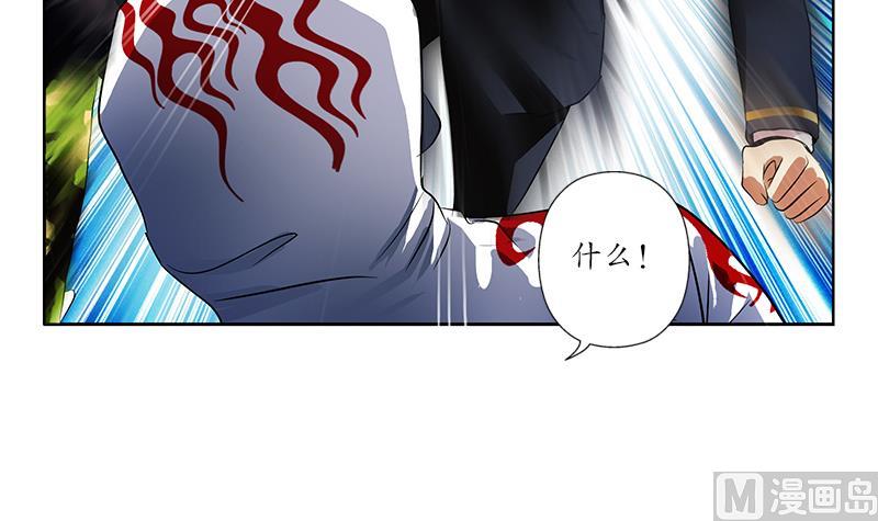都市极品仙医漫画全集免费下拉式漫画,第250话 战白卧虎2图