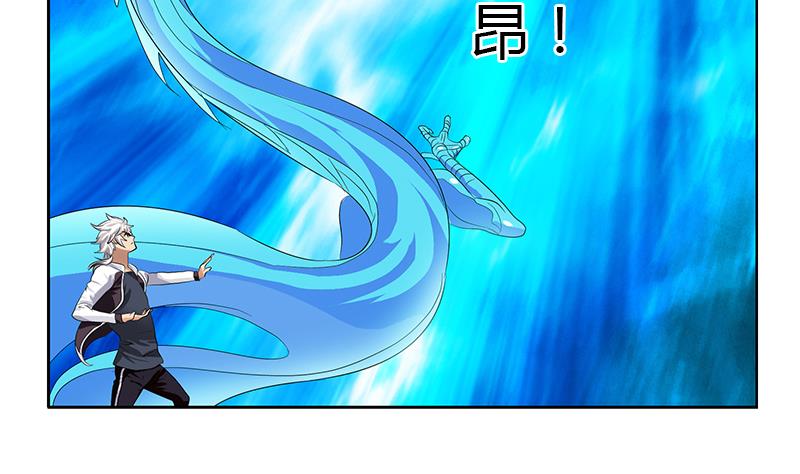 都市极品仙医漫画全集免费下拉式漫画,第328话 灵兽1图