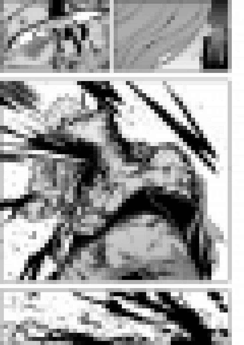 噬规者漫画,第188话 新世界的规则 我们说了算1图