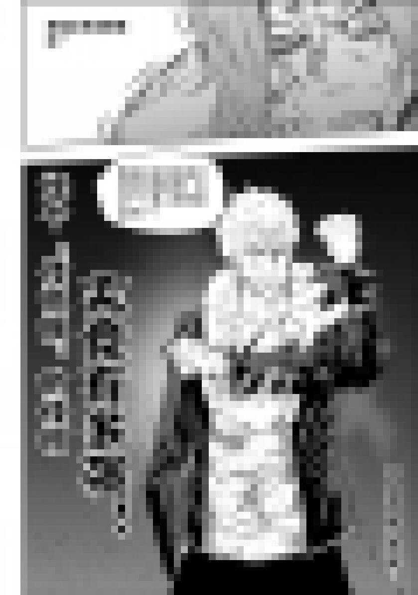 噬规者为什么不更新漫画,第161话 绝望1图