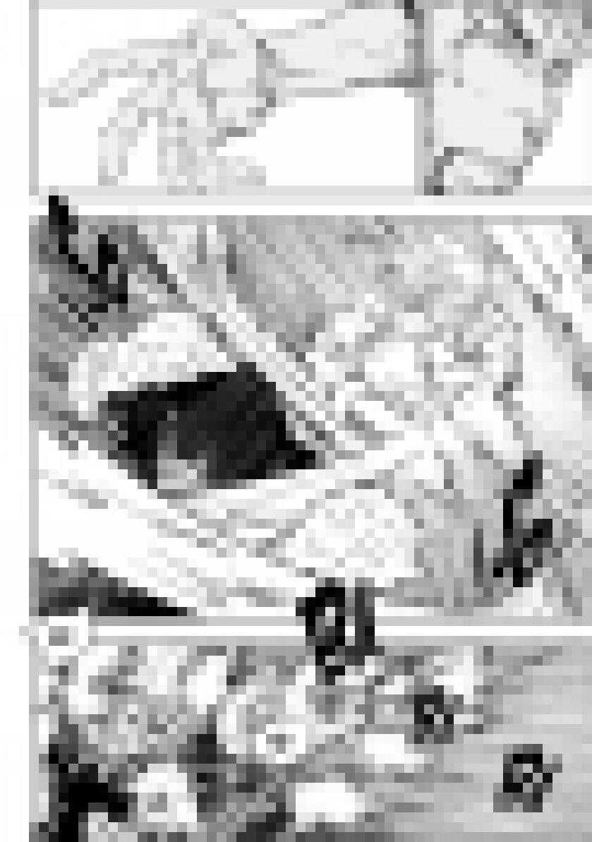 噬规者漫画,第203话 一人一个1图