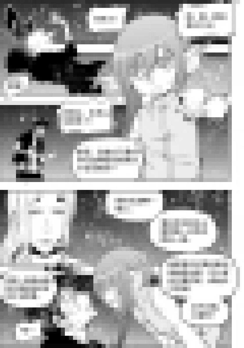 噬规者漫画,第184话 好一番战前动员1图