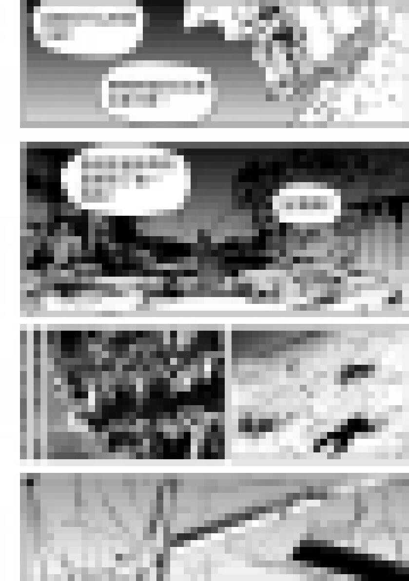 噬规者漫画,第197话 那我就不客气了1图