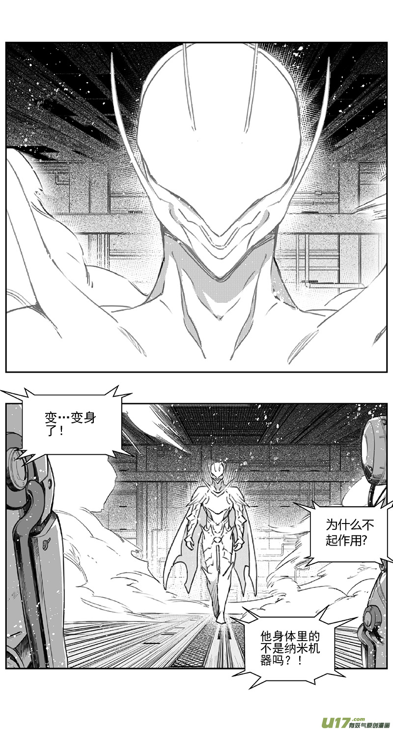 雏蜂漫画,383：第四部05 王的抉择（其五）1图
