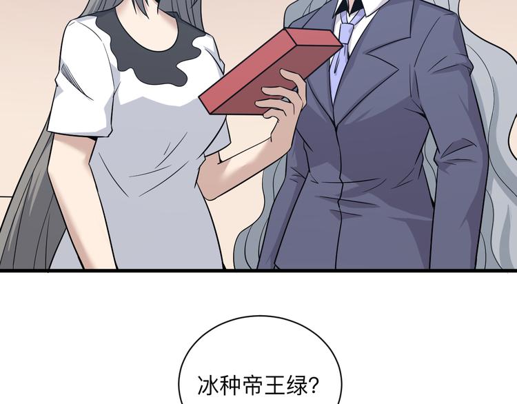 三界淘宝店目录在线阅读漫画,第231话 极品翡翠1图