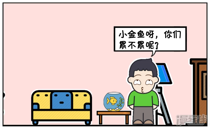 子阳名字寓意漫画,爸爸给子阳买了几条金鱼回家2图