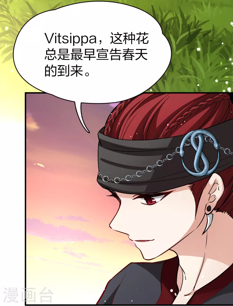 寻找前世之旅漫画免费阅读奇漫屋漫画,第2季第49话 维卡的秘密42图