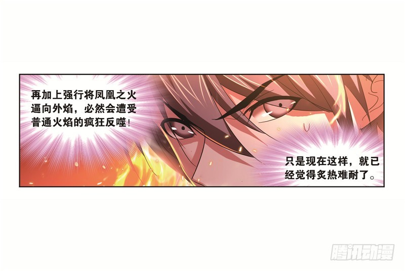 斗罗大陆漫画,第248话 勤奋的凤凰（2）1图