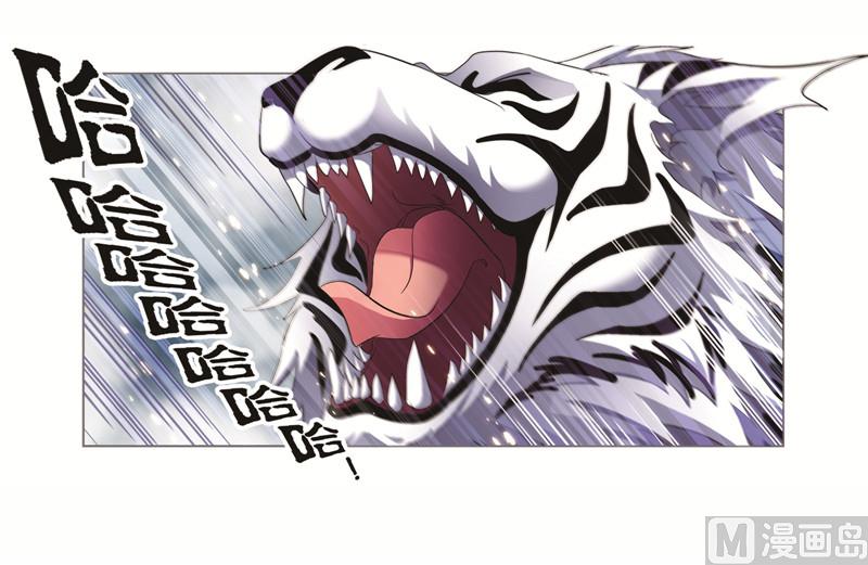 斗罗大陆漫画,第249话 幻阶（2）1图