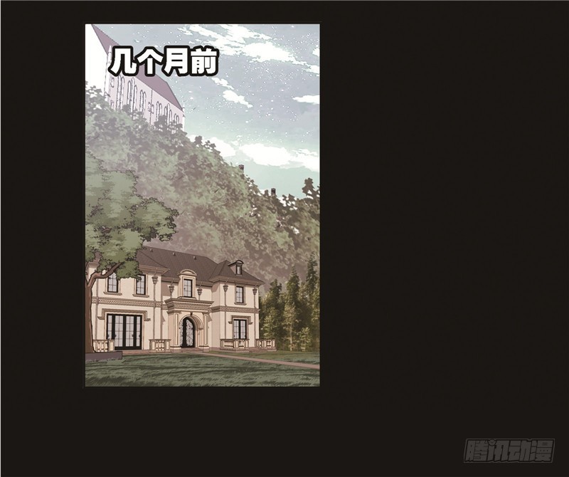 斗罗大陆漫画,第248话 勤奋的凤凰（1）2图