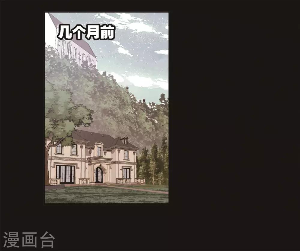 斗罗大陆漫画,第689话 勤奋的凤凰12图