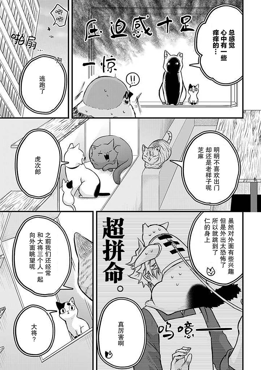 被遗弃的小猫咪与原黑道漫画,第20话1图