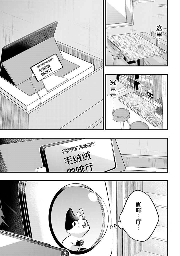 被遗弃的小猫咪与原黑道漫画,第8话1图