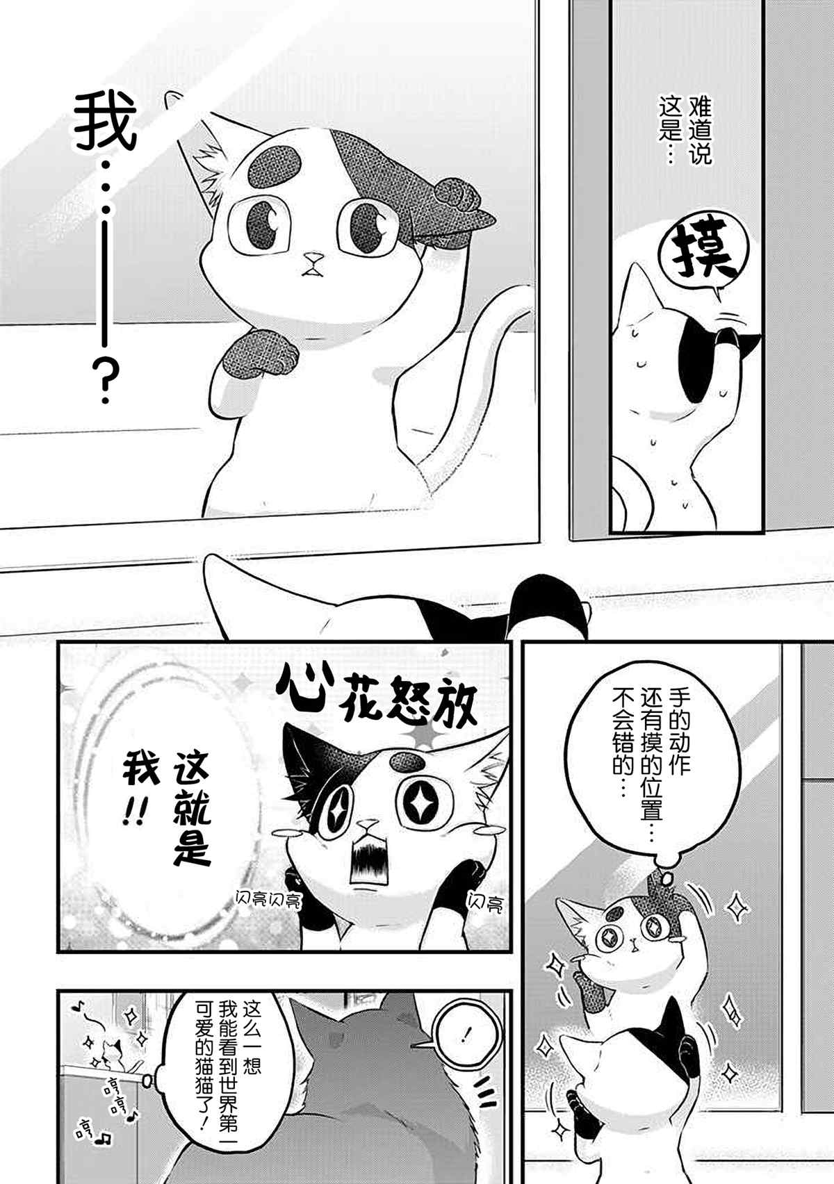 被遗弃的小猫咪与原黑道漫画,第29话2图